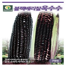 다농원예가든 블랙베리찰옥수수 1000립, 1개