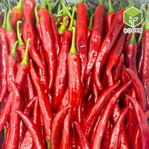 국내산 홍고추 5kg, 단품