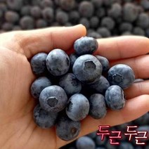 산지직송 국내산 무농약 햇 블루베리 생과 최 상품 2kg 냉동x