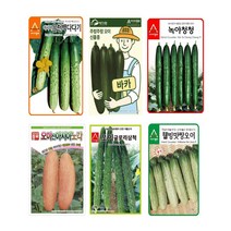 팜스마켓 오이씨앗 종자 노각오이 가시오이 미니오이 오이씨 50립, 4.노각오이 50립