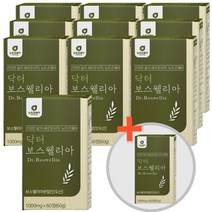 닥터보스웰리아 1000mg 60정 10+1 11통 (11개월분) 보스웰리아 보스웰니아 분말 가루 보스웰릭산 엄마 할머니 남편 시 부모님 선물 추천 감사 50대 60대 70대 영양 간식 먹는, 11개