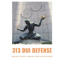 313 DUI Defense: Wayne County Drunk Driving Defense Paperback, 978-1-7326048-6-5