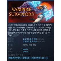 뱀파이어 서바이버 [스팀코드 발송], 스팀코드 발송, Mod설치 및 한글패치 등 원격지원