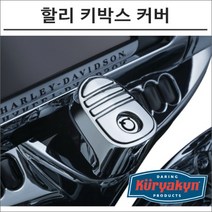 쿠리야킨 할리 키박스 커버 크롬, 1개