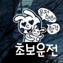 바보사랑 자동차스티커 운전면허 합격 초보운전.뭉키