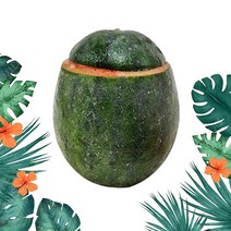[지케이푸드]수박샤베트 250ml 과일 샤베트 업소용 안주 간식, 수박 샤베트 (드라이), 1개