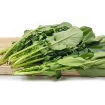 야채왕 루꼴라 500g