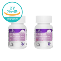 그린코어 산화 마그네슘 400mg 영양제 보충제 마그네슘제 건강증진, 2통, 1200mg/108g/180정, 6개월분