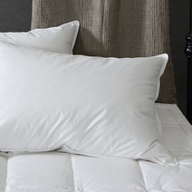 도아드림 구스이중구조베개