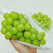 제철 고당도 샤인머스켓 2kg 2-4수 선물용 당도보장 망고포도 프리미엄 특품 에어포장, 샤인머스켓 2kg내외(2-4수)
