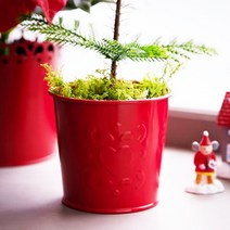 이케아 VINTERFINT 빈테르핀트 화분 9cm, 8개