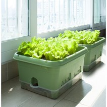 대형 화분 플라스틱 텃밭 상추 수경재배 대파 키우기, 텃밭화분_아이보리