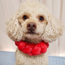 강아지 넥워머 목도리 고양이 목도리 포그니벨벳목도리, M23~27cm, 레드