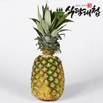 식탐대첩 필리핀 파인애플 4개 (개당1.2kg내외), 단품
