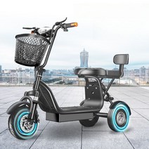 세발 전기 자전거 전동 2인 배달 출퇴근 삼륜 48V, 36V 15A 40KM