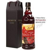차전 세븐네이처 오미자 900ml 농축액 건강음료, 상세페이지 참조, 1개