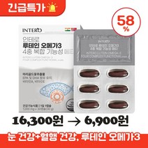 인테로 루테인 오메가3 비타민A 비타민E 4중 복합 기능성 메타 1개월분, ★특가★ 루테인 오메가3
