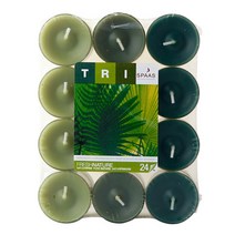 스파스 티라이트 향초 다색 플랫팩, 프레시네이처, 24개입