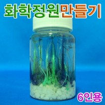 위wjr_향앤미과학 화학 정원 만들기 6인용 삼투압현상 실험 관찰♥hspirit, ♥words!!