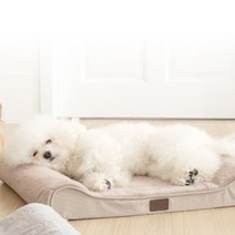 왓츄 찰떡 강아지 침대 쇼파, 베이지, 베이지