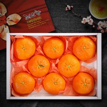 (롯데백화점)한아름 레드향 선물세트 3kg(7-12과)