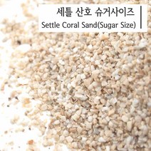 산호사 슈가 3.5kg