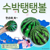 비치볼 [수박탱탱볼] 비치볼/물놀이공/워터볼/장난감공/탱탱공/어린이용 고무공/물놀이용품, 칼라무지탱탱볼(블루)