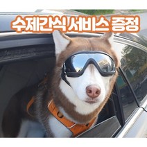 강아지 선글라스 애견 고글 도글라스 멍글라스 개글라스 소형견 중형견 대형견 반려견 UV차단 안경, 소형견용, 핑크