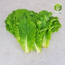 쌈채소 청상추 특 2kg, 단품