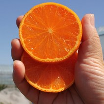 룰루네상점 제주 카라향 3kg 로얄과 18~23과 벌크포장 고당도 감귤, 제주 카라향 3kg 로얄과 (18~23과)