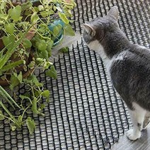 스파이크 퇴치망 비둘기퇴치 12p 야생동물, 상세페이지 참조