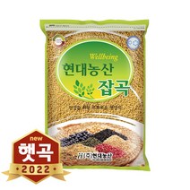 농협 이천잡곡쌀 (보리 현미 찹쌀 기장 수수 흑미 외), 겉보리쌀 4kg