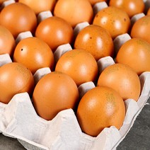 탱탱한훈제달걀30구 저렴한 상품 추천 목록을 찾아보세요