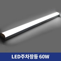 국산 LED주차장등 일자등 LED형광등 60W 1200mm 삼성칩 주광색, 1200mm 주광색