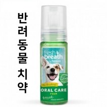 강아지 구강관리 후레쉬민트 가글용 거품치약 133ml 입냄새 구취제거 양치 치석 충치, peoqqq88 쿠팡 1