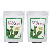 제주산 선인장잎분말 천년초분말 제주도산 500g 2팩, 2개, 단품