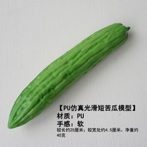 수세미 오이 호박 모형, e