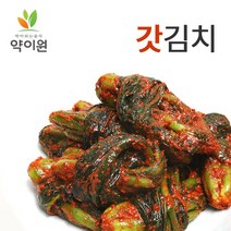 [약이원] 갓김치 1kg/ 국산 전라도/ 맵고 속이 확 트이는 쌉쌉한 맛의 갓김치/ 당일생산