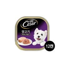 브이펫 시저 양고기 100g 12캔무료배송