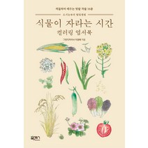 식물이 자라는 시간 컬러링 엽서북:색칠하며 배우는 텃밭 작물 16종, 북센스, 이경래