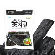 피지엘 덴트픽 대나무 숯 일회용 치실 100p
