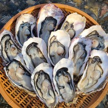 통영 생굴 1kg 알굴 깐굴 세척 제철