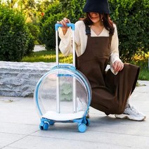 투명 고양이 강아지 캐리어 여행용 백팩 배낭 케이지, 9kg이하, O