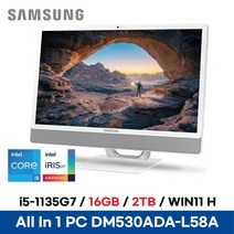 *CPU 무상 업그레이드* 삼성 올인원PC DM530ADA-L58A 사무용 인강용 일체형PC 온라인수업용 매장용 - 16GB 2TB ED