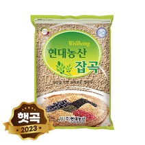 국산 율무 2kg, 2023년 햇곡 국산 늘보리 2kg 겉보리 꽁보리밥