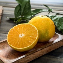 제주 황금향 가정용 선물용, 선물용 4.5kg 중과, 1박스