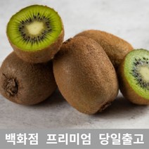 과일 (특등급) 오늘출고 그린키위6KG 그린키위 키위효능 키위농장 골드키위 제스프리골드키위 골드키위효능 골든키위 골드키위가격 점보골드키위 열대과일 [WBB8EC5], 쿠팡 6KG, 쿠팡 본상품선택