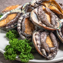 [농부마음] [산지직송] 진도 활전복 꼬마전복 1kg 30-40미, 상세 설명 참조