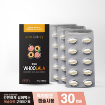 동신헬스케어 후랄라 구취제거제 100MG X 30캡슐 X 1박스 박하유 파슬리오일 입냄새제거제