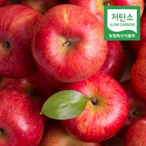 경북 의성 당도선별 사과 저탄소 홍로 부사, 1개, 3kg(1개)